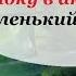 Аквариум для новичков Как поймать рыбку в аквариуме Маленький секретик