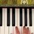 Yaelokre Harpy Hare ON PIANO