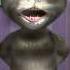 Talking Tom Rep