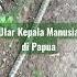 Ular Kepala Manusia Di Papua