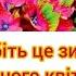 Як правильно зберігати широколисту гортензію взимку щоб побачити рясне квітування весною