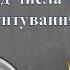 Число і цифра 4 Склад числа чотири Орієнтування у часі частина 1