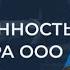 ОТВЕТСТВЕННОСТЬ директора ООО все что нужно знать