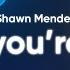 Shawn Mendes When You Re Gone Lyrics