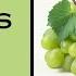 THE HEALTH BENEFITS OF GREEN GRAPES Superfood Fruitlover