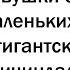 МАЗЕЛЛОВ СМОТРИТ Девушки обсуждают пенисы парней