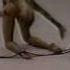 Kabaeva Alina RUS Rope AA