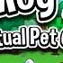 Moy 5 Virtual Pet Game