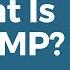 What Is A TAMP