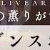 期間限定 HIMEHINA 愛包ダンスホール LIVE2024 涙の薫りがする