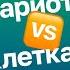 2 42 Сравнение клеток эукариот и прокариот Цитология к ЕГЭ Георгий Мишуровский