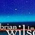 Brian Wilson Where Has Love Been