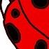 Как нарисовать божью корову Оживающие рисунки How To Draw A Ladybug