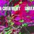 Adam Beyer Green Velvet Simulator Southmind Edit