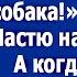 Куда собралась Ты же страшная как собака Муж не взял Настю на корпоратив А когда вернулся