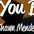 Shawn Mendes Treat You Better Lyrics