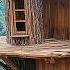 A Man Builds A Secret Tree House From Start To Finish By Wild Hammer