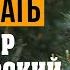 Стихи про нашу жизнь читает В Корженевский Vikey А разве друга надо звать стих Ватулко В 0