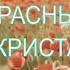 МАКИ КРАСНЫЕ МАКИ ЮРИЙ АНТОНОВ КАВЕР КРИСТАЛОФОН