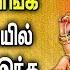 Goddess Of Knowledge Saraswati Tamil Padal Saraswati Bhati Padalgal Best Tamil Devotional Songs