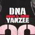 DNA Yanzee Ft Wambo El MafiaBoy Jayma Dalex Me Tienes Adicto