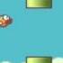 The Real End Of Flappy Bird Lvl 1000 WORLD RECORD