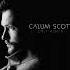 Dancing On My Own Calum Scott Slowed Reverb