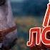 Kingdom Come Deliverance Баги Приколы Фейлы