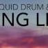 Fading Light Chilled Liquid Drum Bass Mix