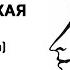 Александр Сергеевич Пушкин Капитанская дочка Глава 4 Поединок Аудиокнига Слушать Онлайн