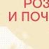 Что такое розовое вино и почему мы его не делаем