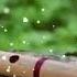 Barish Flute Ringtone Cover Music No Copyright SCM Newfluteringtone Bestfluteringtone