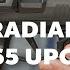 Product Spotlight Radian Sig P365 Upgrades