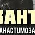 Анастимоза Хризантеми STALKER 2 Я бачу квіти у твоїх очах я бачу літери на стінах