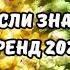 ТАНЦУЙ ЕСЛИ ЗНАЕШЬ ЭТОТ ТРЕНД 2024