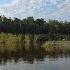 Beautiful Birdsong On A Forest Lake Relaxing Sounds Of Nature It S Worth Hearing