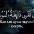 Чтец Абдурахман Масад Сура Аль Анкабут Паук Аяты 56 58