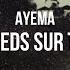 Les Pieds Sur Terre Ayema Feat Wahdi Un Hymne De Résilience En Reggae