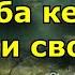 Чем полезна кета В чем ее особенность и можно ли ее употреблять в пищу