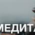 А Ракицкий ОМ медитация Снижение тревожности Блокировка токсичного информационного потока