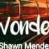 Wonder Shawn Mendes Lyrics