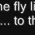 Seal Fly Like An Eagle Space Jam Soundtrack Lyrics