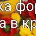 Мыловарение Заливаю формы маков и тюльпанов для букета в кружке