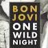 Bon Jovi One Wild Night Audio