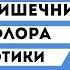 Запор и КЕТО диета Микрофлора кишечника и Пробиотики Синдром дырявого кишечника и глютен