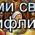 Колядка Нічка та ясная муз і сл Володимир Богачук мінус із текстом Пісні до Різдвяних свят