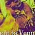 Boney M Night Flight To Venus S2S Benergee Mix