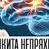 КАК МЫ УБИВАЕМ ЛЮБОВЬ Когнитивные ловушки в отношениях Никита Непряхин