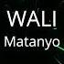 Wali Matanyo