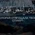 Сура Аш Шарх Воистину за каждой тягостью наступает облегчение